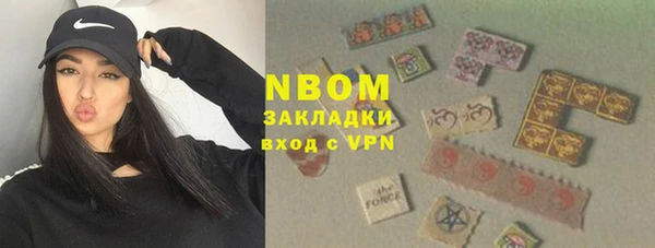 хмурый Горняк