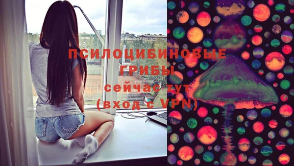 хмурый Горняк