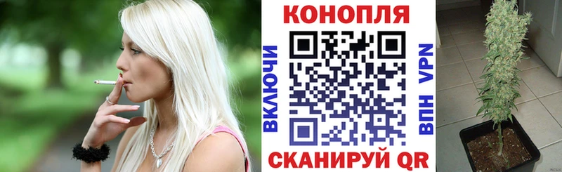 Бошки марихуана план  MEGA сайт  Димитровград 